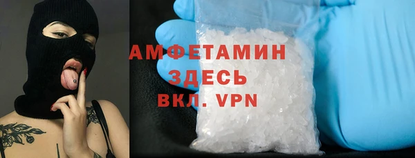 ГАЛЛЮЦИНОГЕННЫЕ ГРИБЫ Алзамай