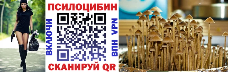 кракен сайт  Арсеньев  Псилоцибиновые грибы прущие грибы  цена наркотик 